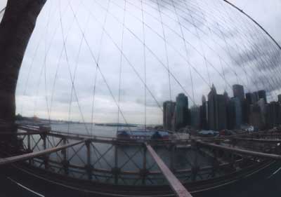 the brige's cables + view to Lower Manhattan